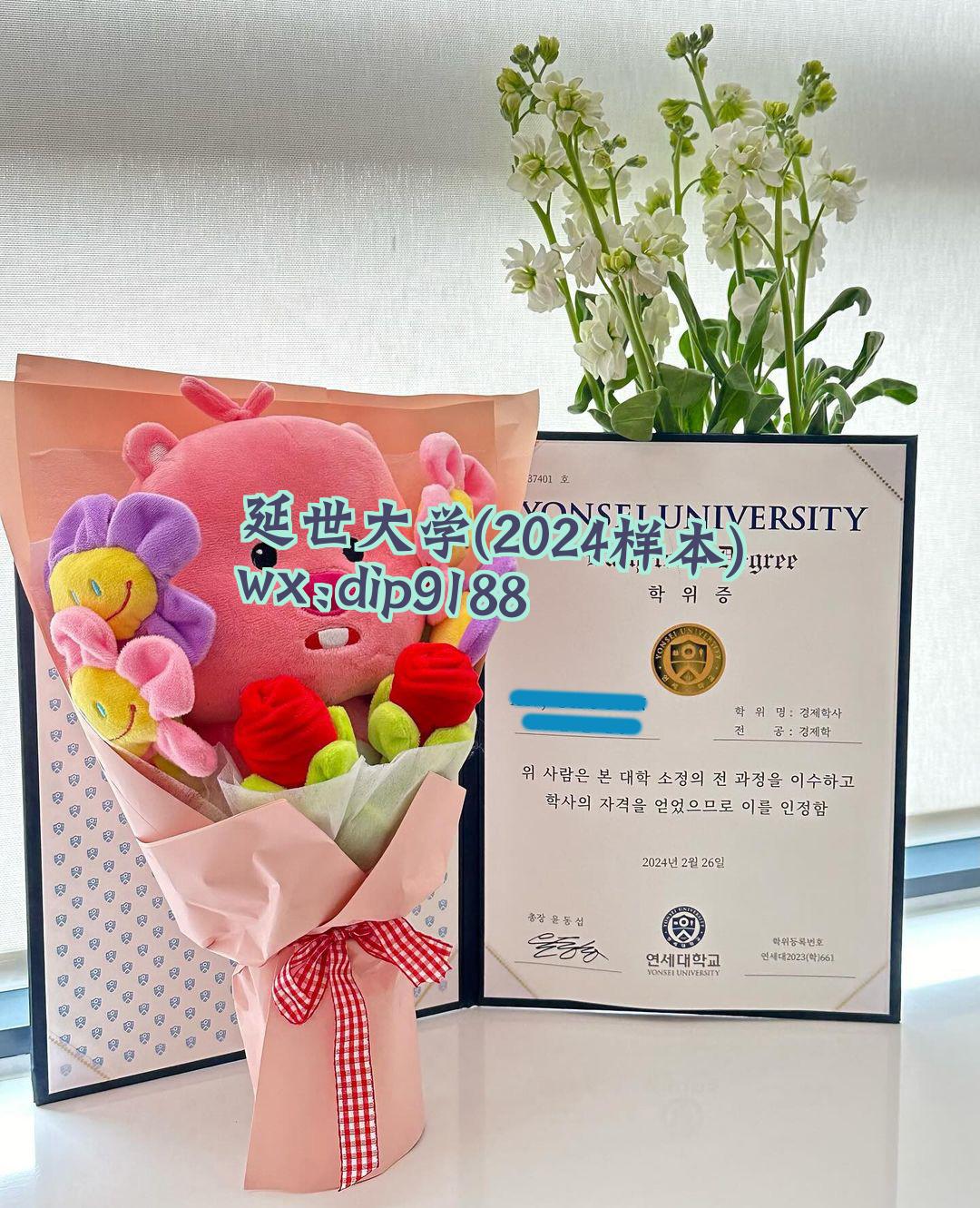 延世大学学历2024毕业证样本图