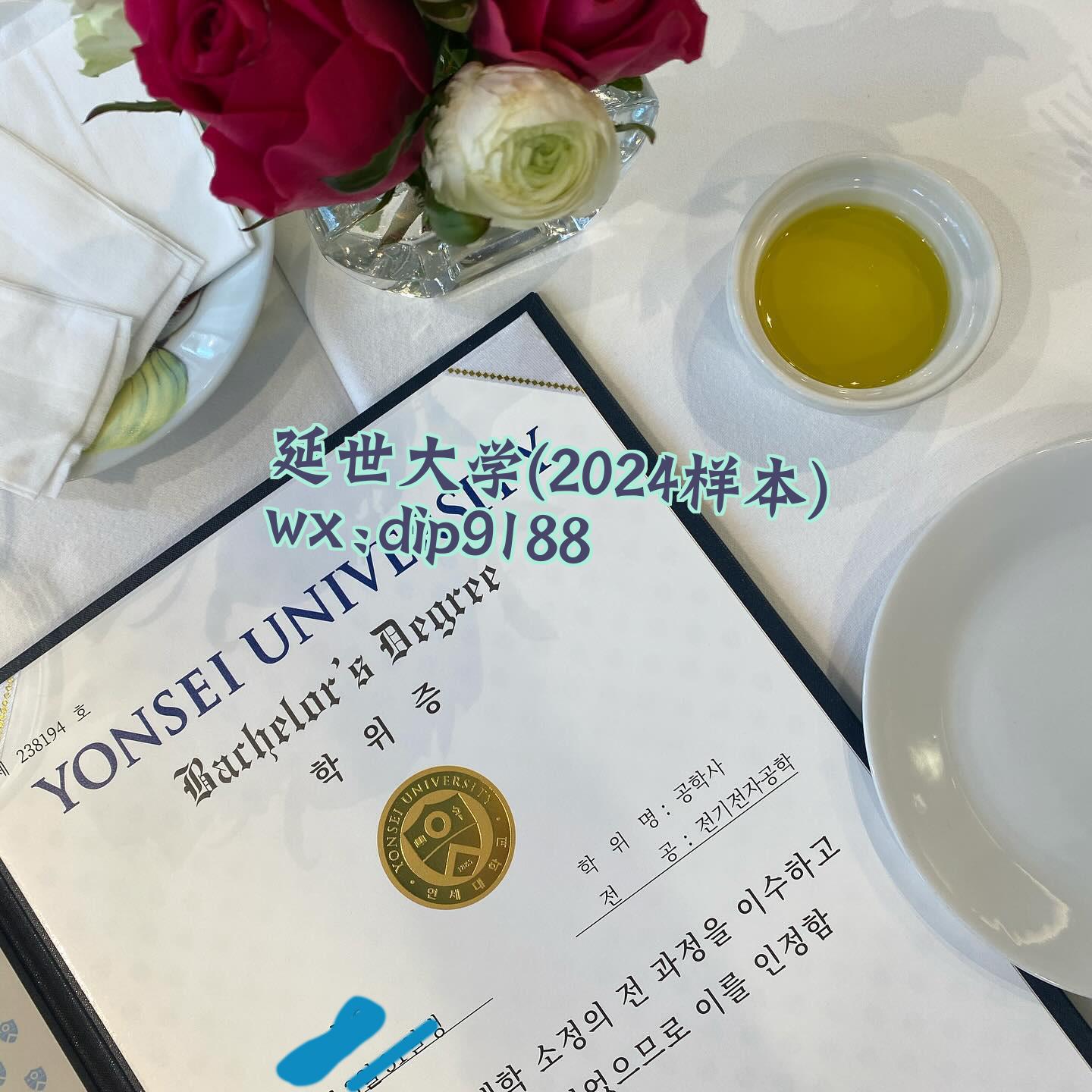 延世大学学历2024毕业证样本图