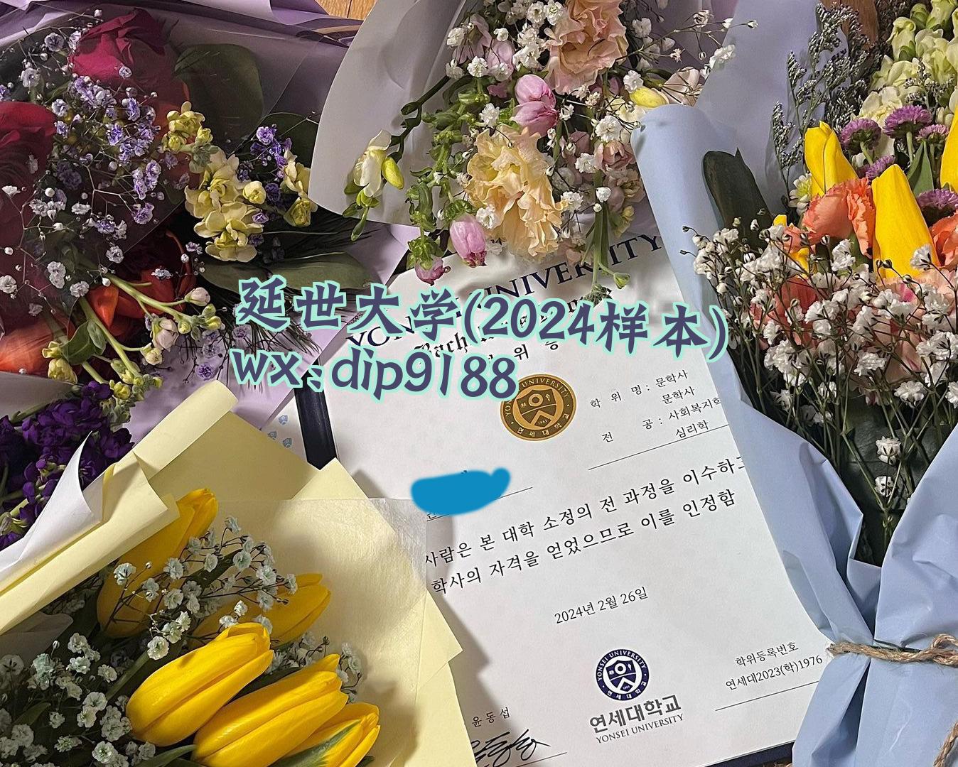 延世大学学历2024毕业证样本图