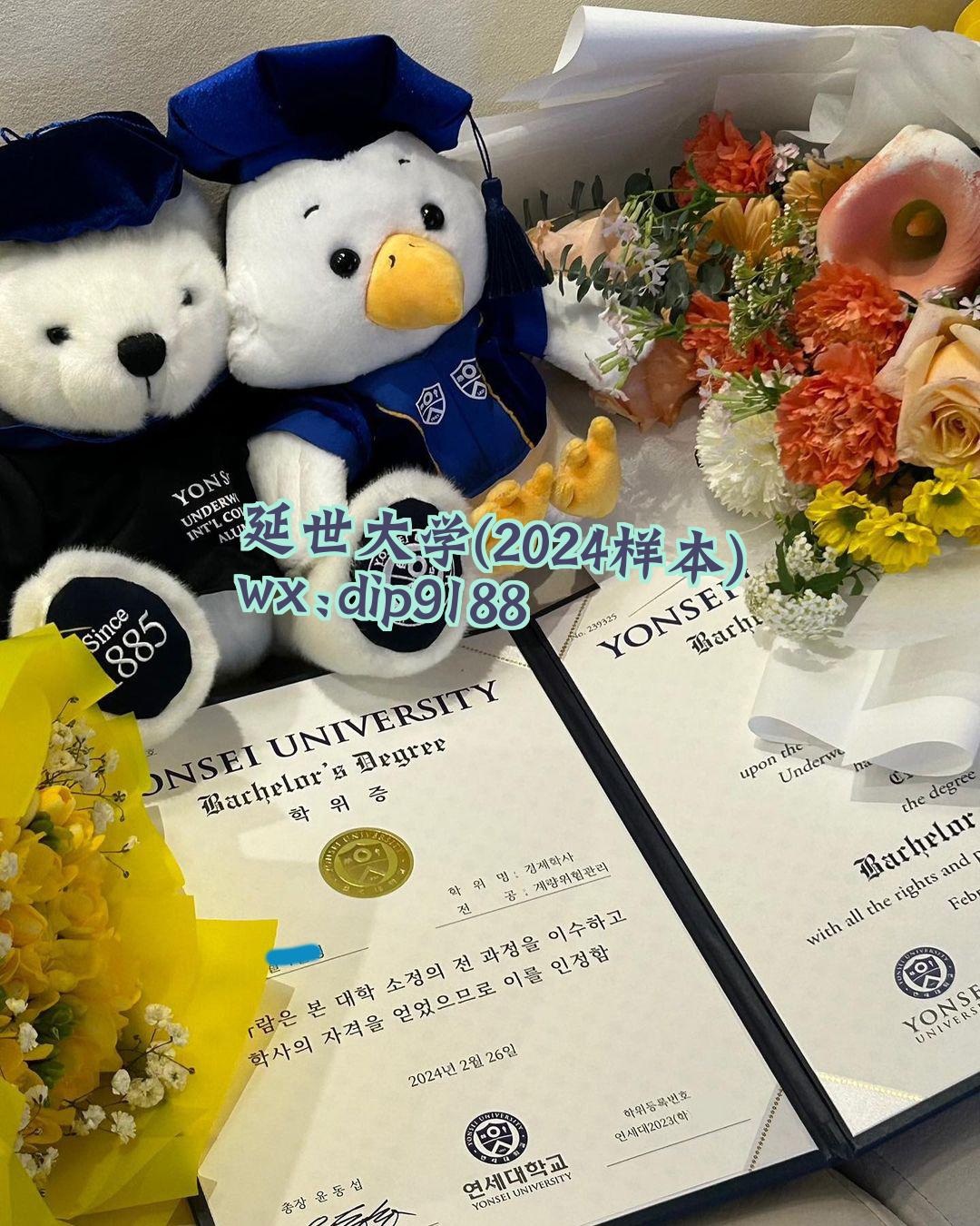延世大学学历2024毕业证样本图