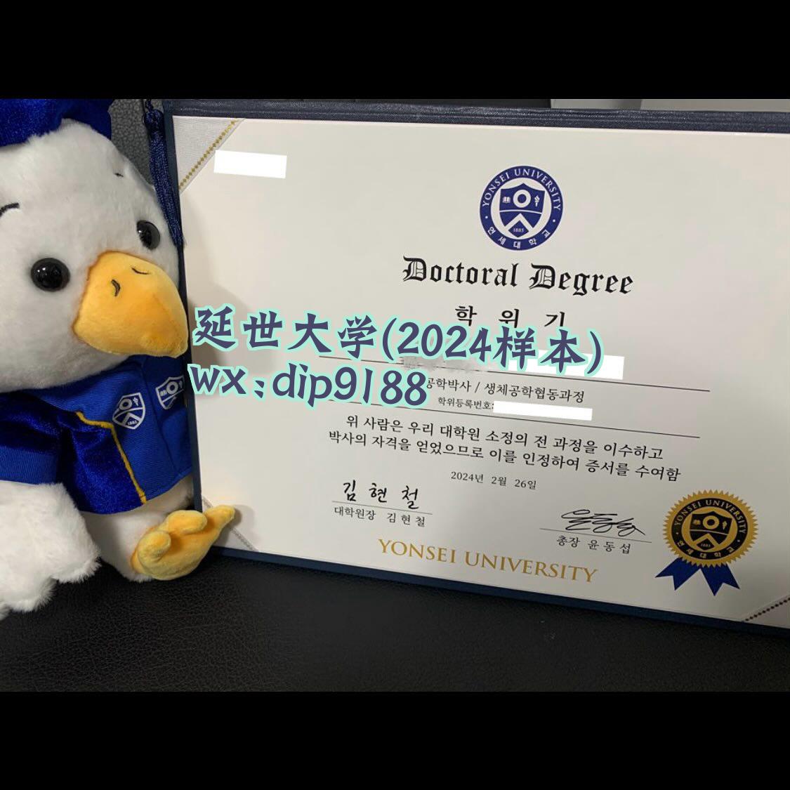 延世大学学历2024毕业证样本图
