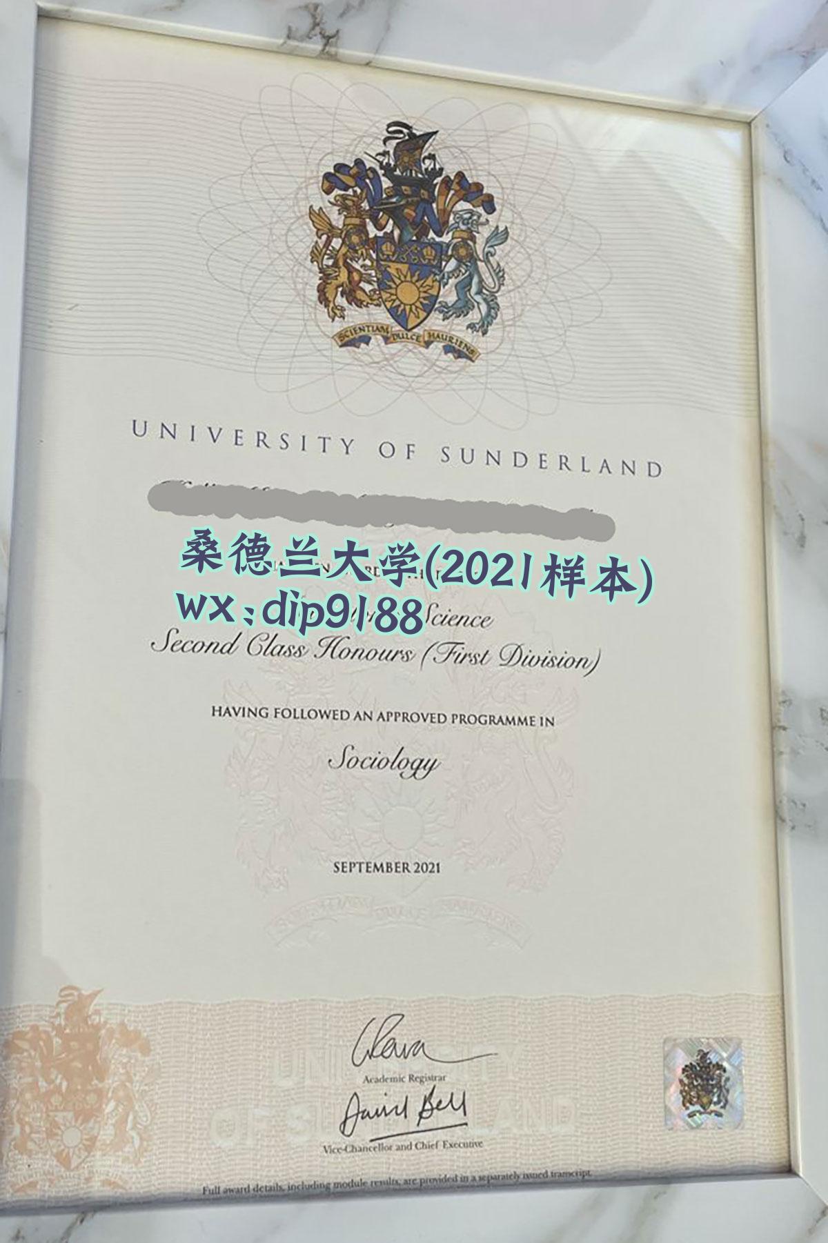 桑德兰大学学历2021毕业证样本图