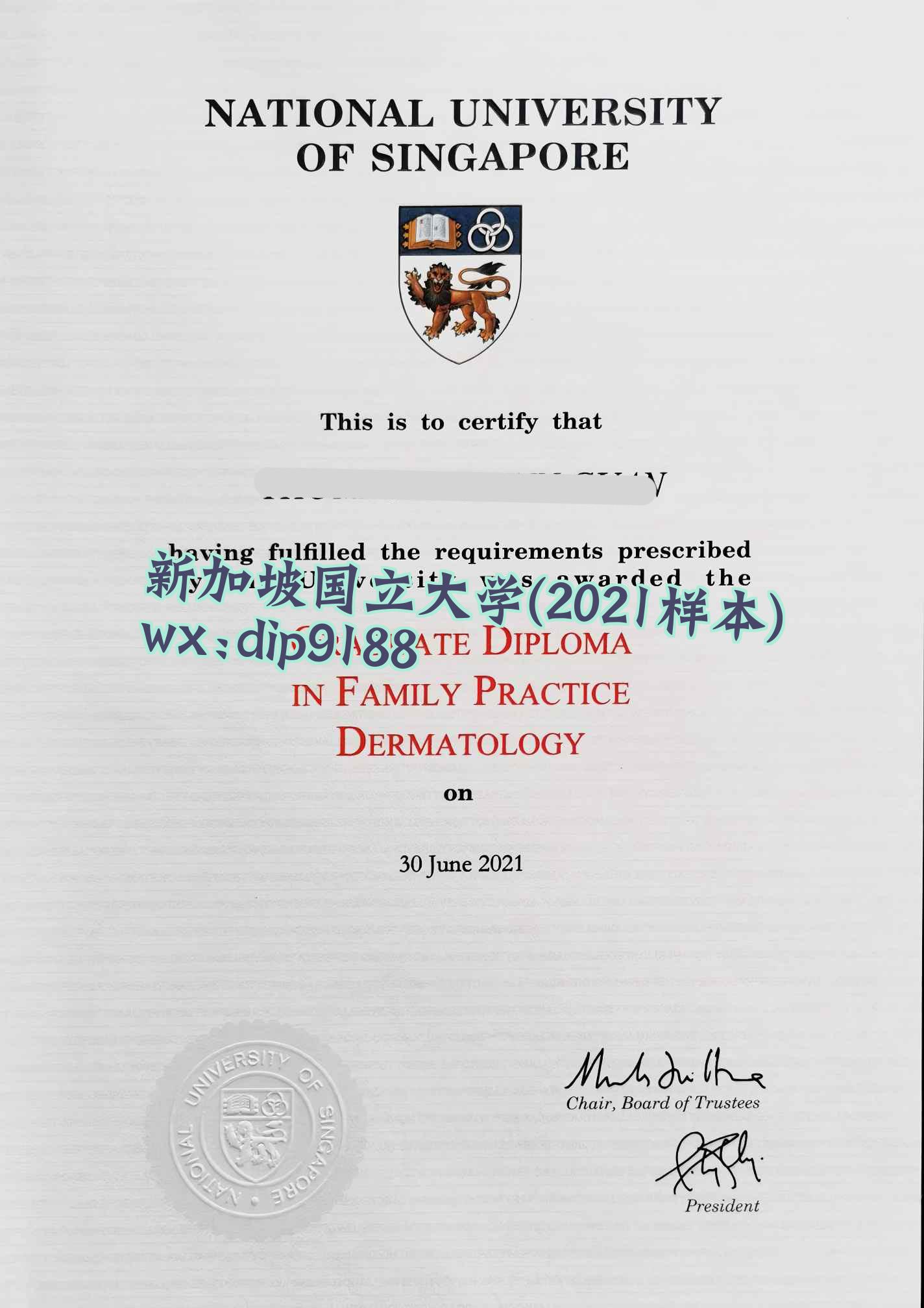 新加坡国立大学学历2021毕业证样本图 新加坡国立大学学历2021毕业证样本图片