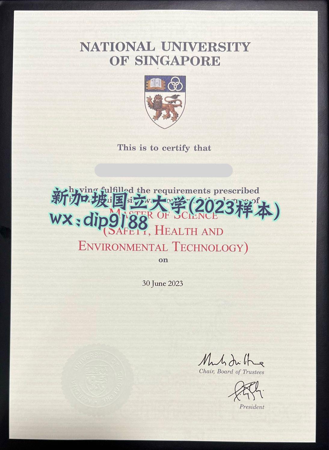 新加坡国立大学学历2023毕业证样本图 新加坡国立大学学历2023毕业证样本图片