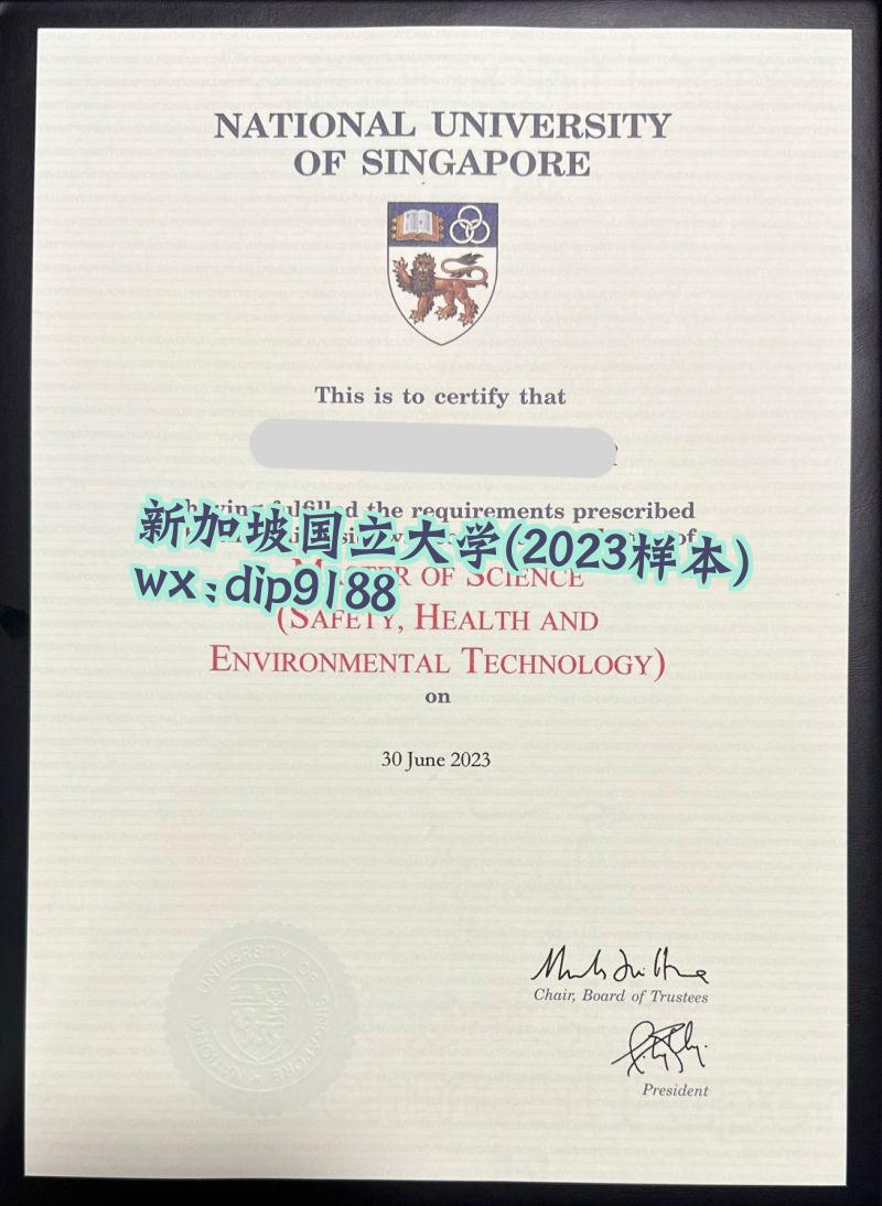 新加坡国立大学学历2023毕业证样本图 新加坡国立大学学历2023毕业证样本图片