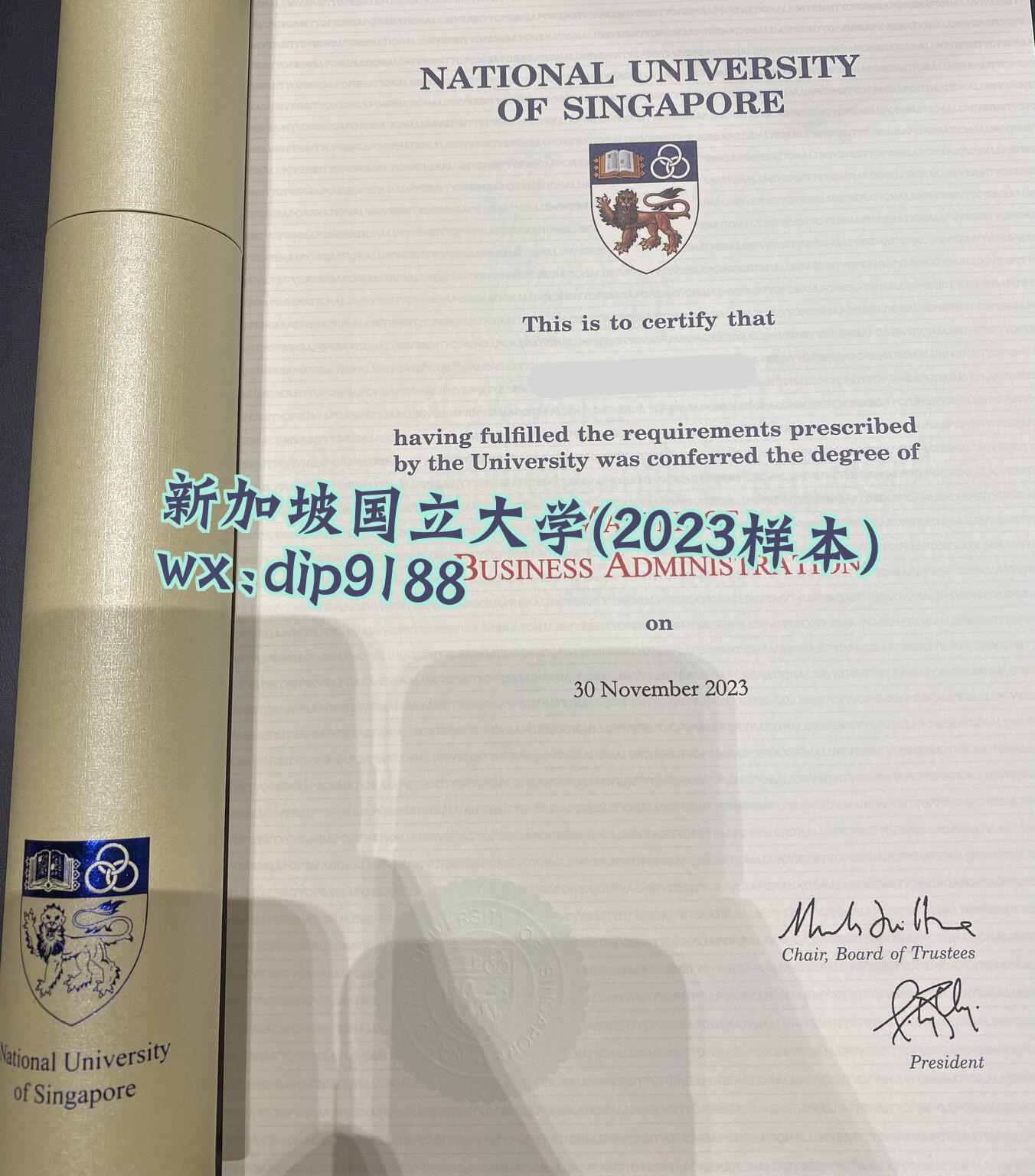 新加坡国立大学学历2023毕业证样本图 新加坡国立大学学历2023毕业证样本图片