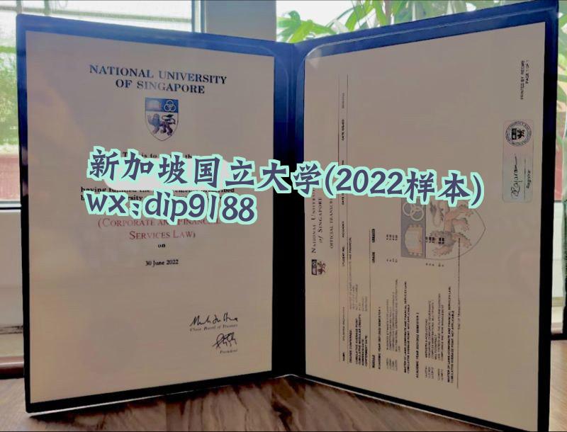新加坡国立大学学历2022毕业证样本图 新加坡国立大学学历2022毕业证样本图片