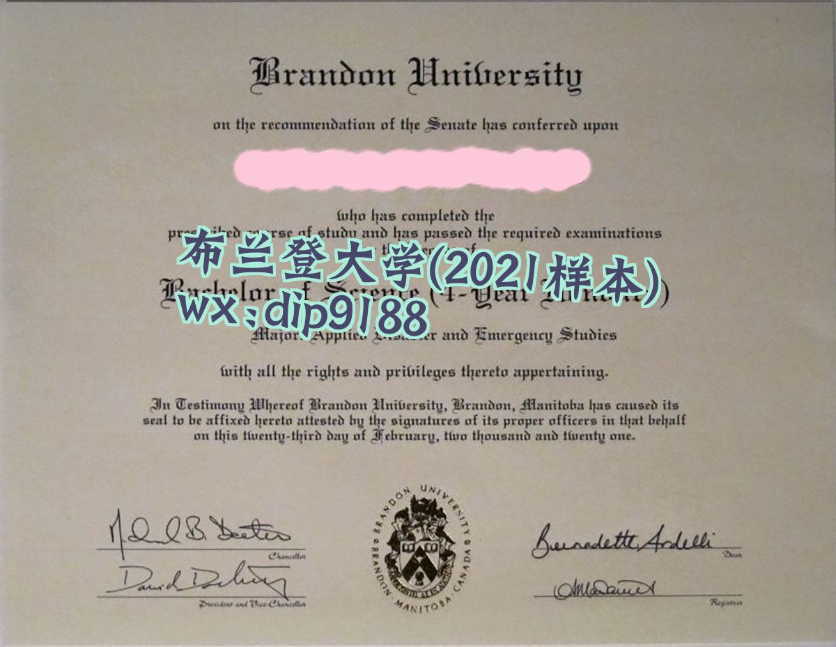 布兰登大学学历2021毕业证样本图