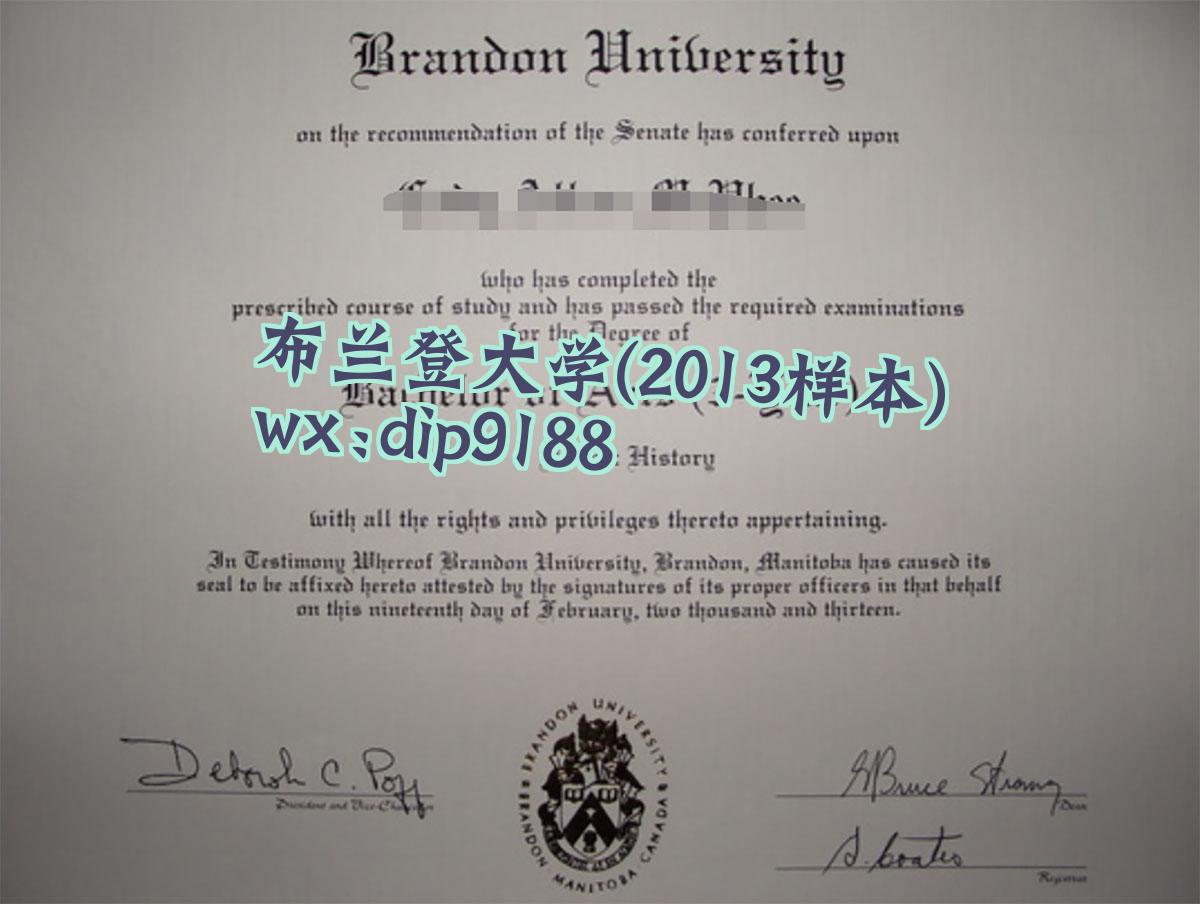 布兰登大学学历2013毕业证样本图