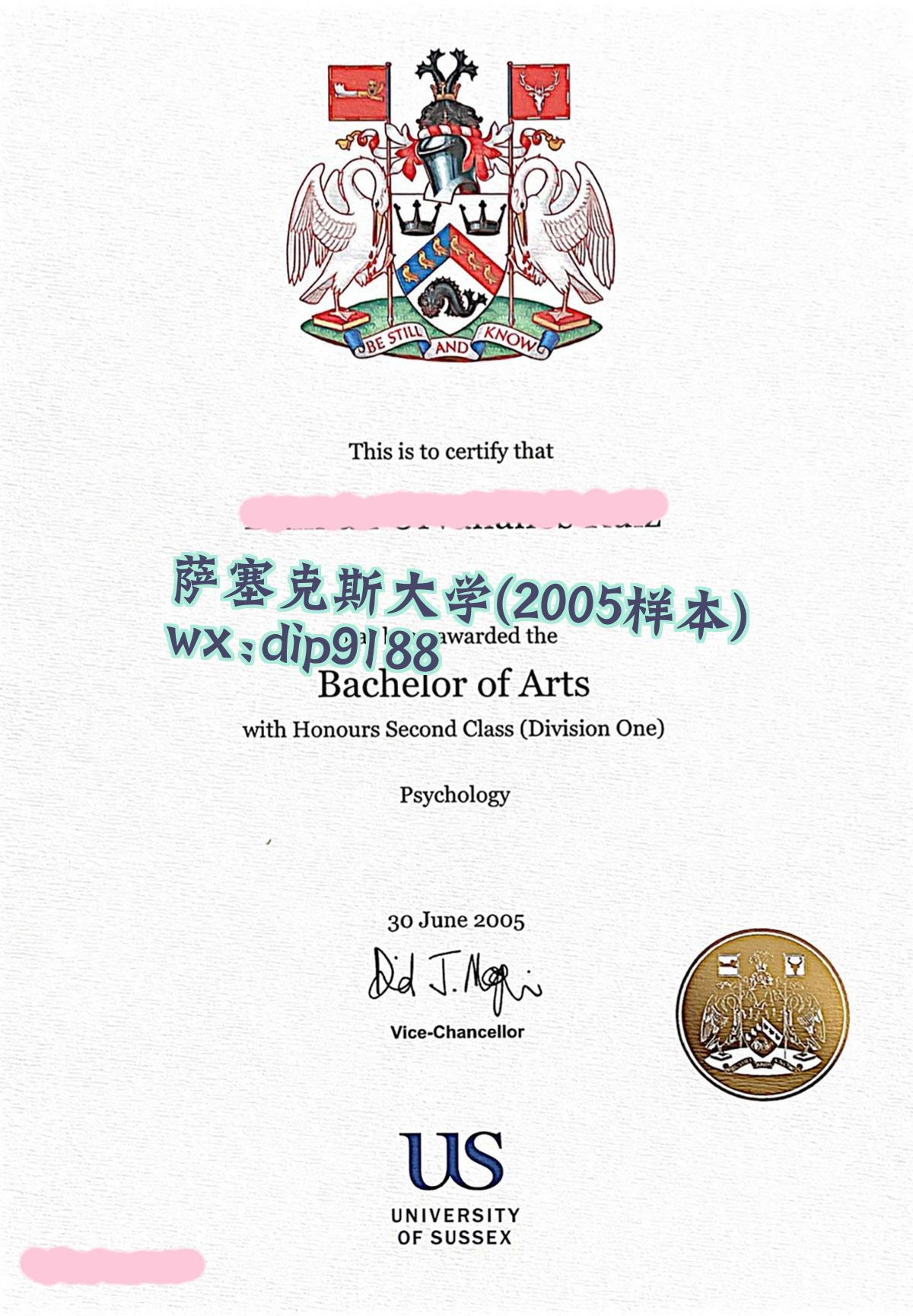 萨塞克斯大学学历2005毕业证样本图