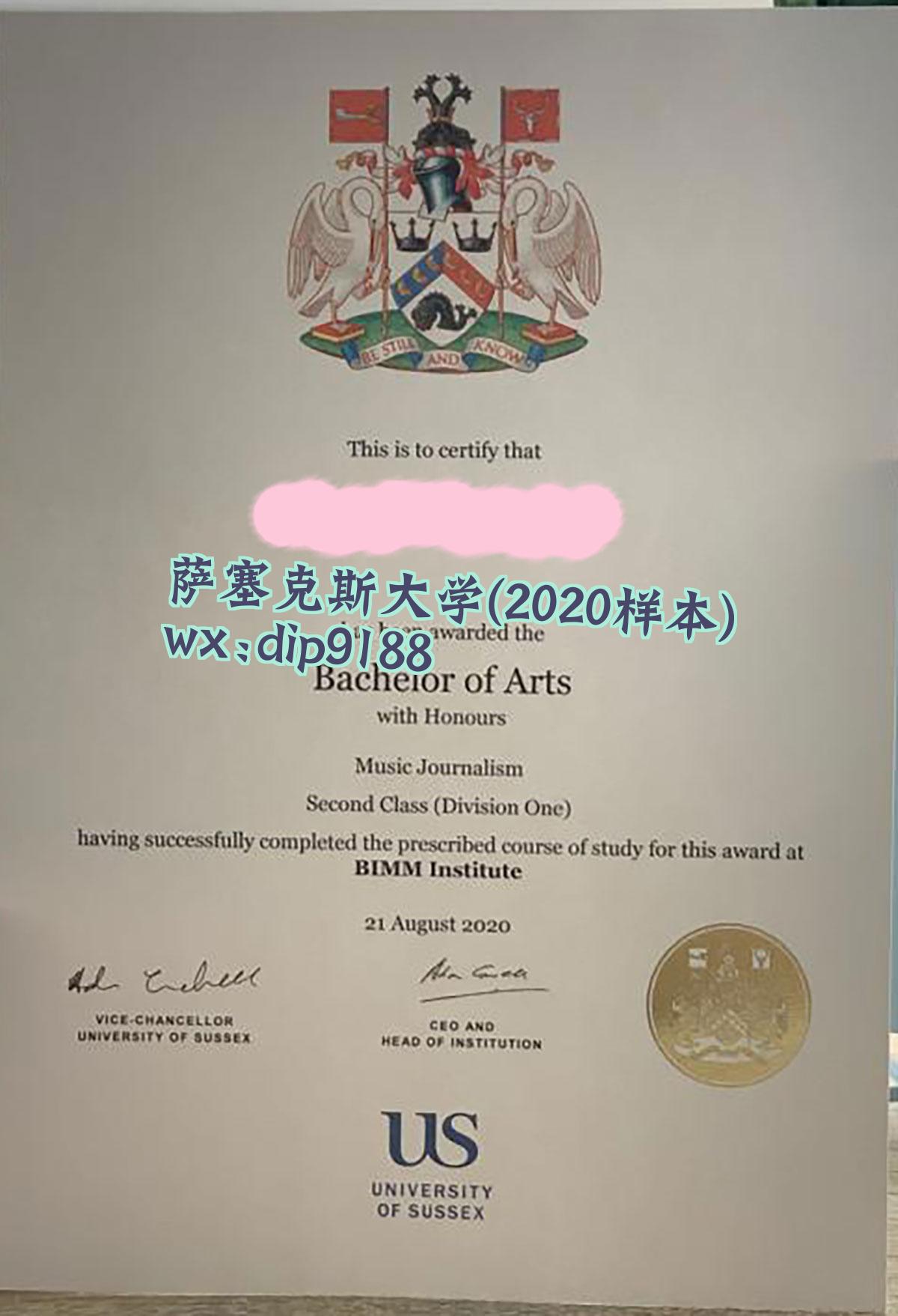 萨塞克斯大学学历2020毕业证样本图