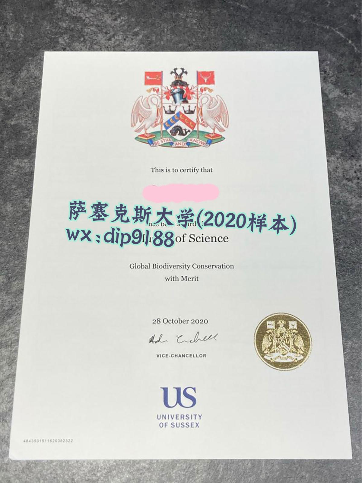萨塞克斯大学学历2020毕业证样本图