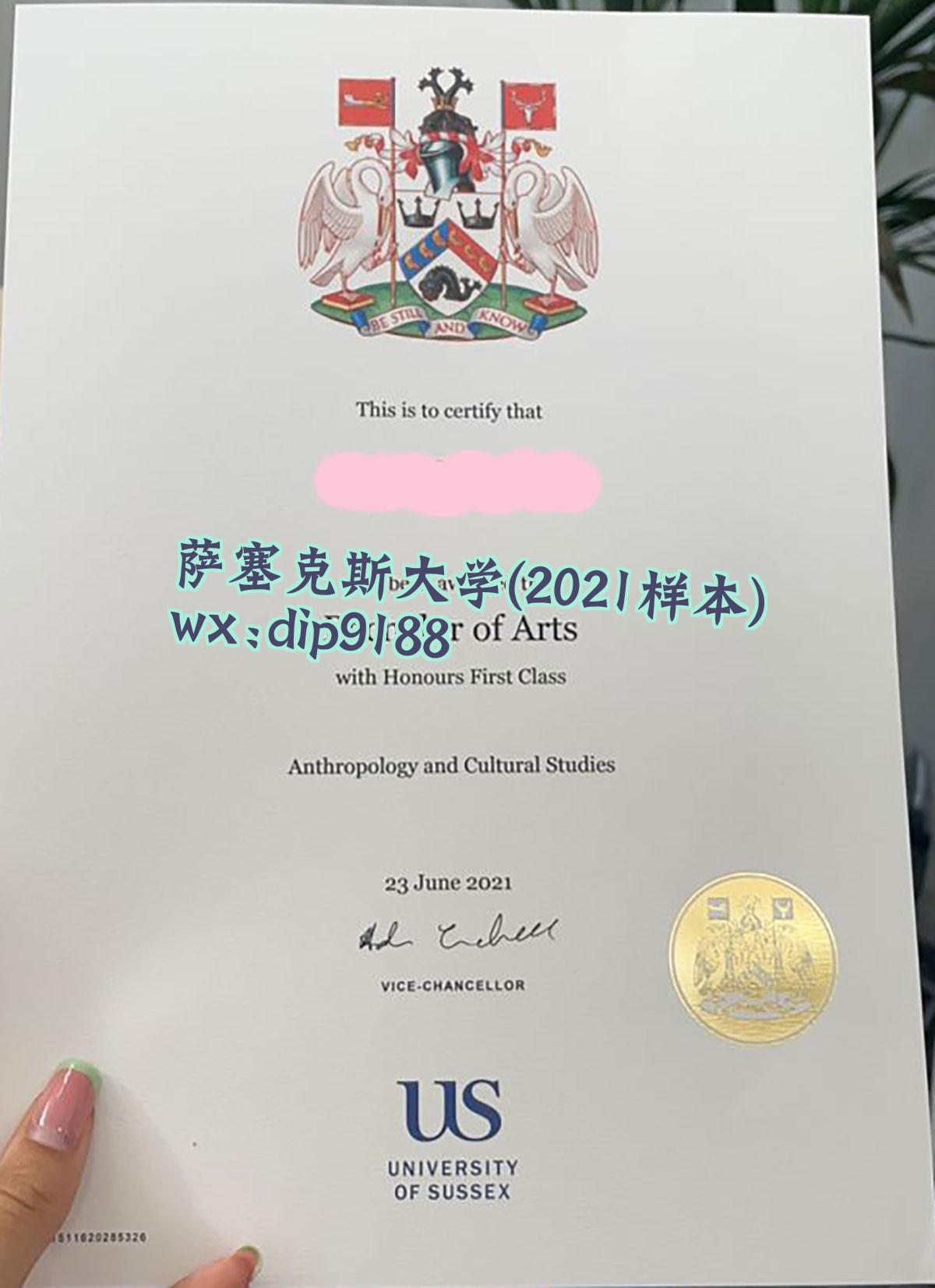 萨塞克斯大学学历2021毕业证样本图