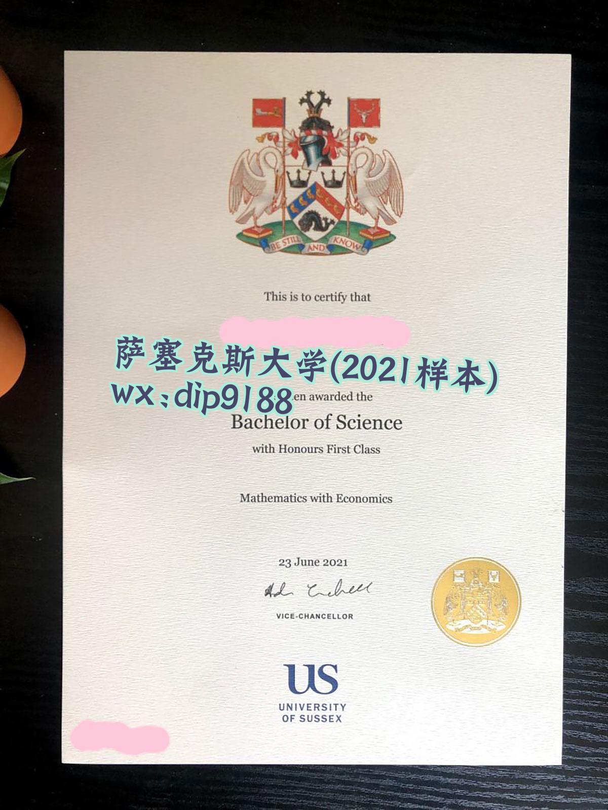 萨塞克斯大学学历2021毕业证样本图