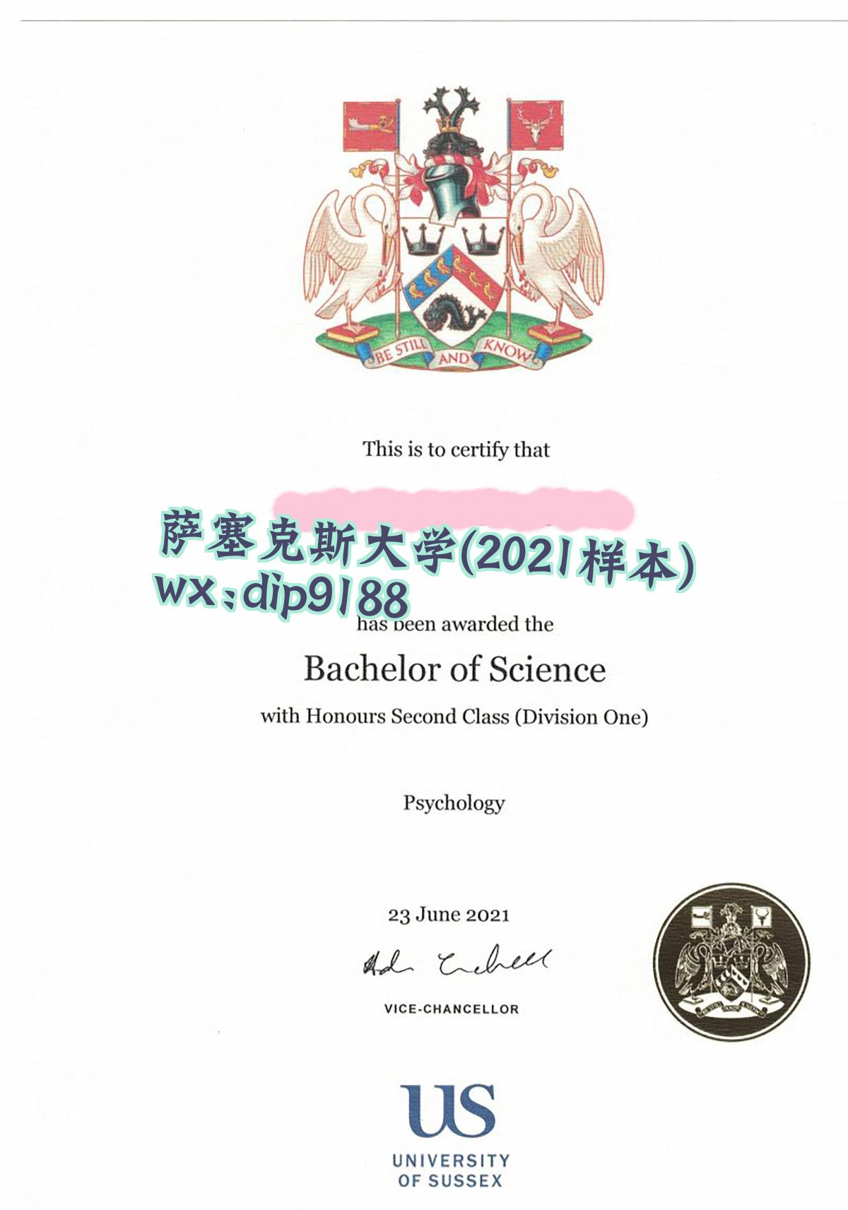 萨塞克斯大学学历2021毕业证样本图