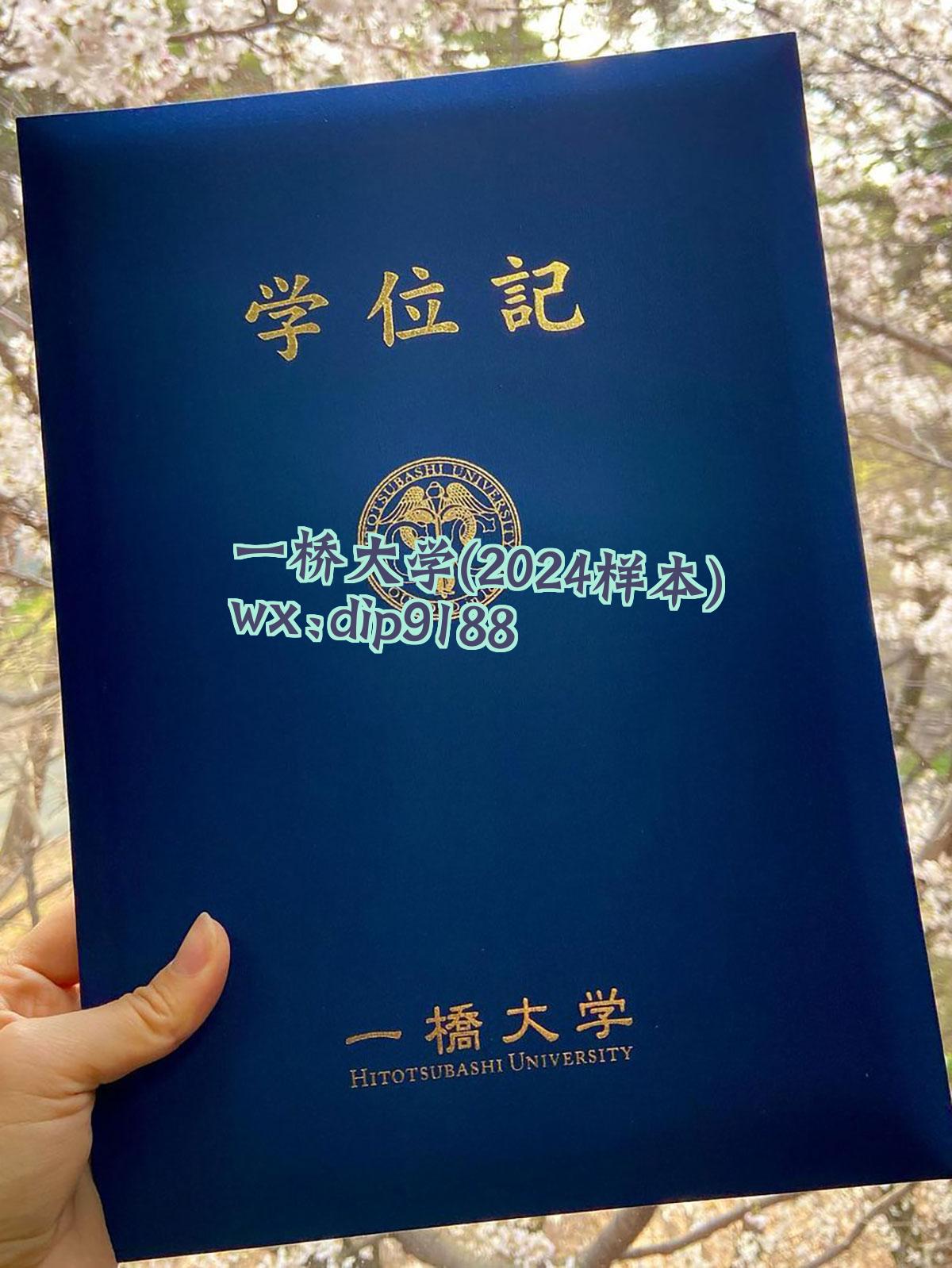 一桥大学学历2024毕业证样本图