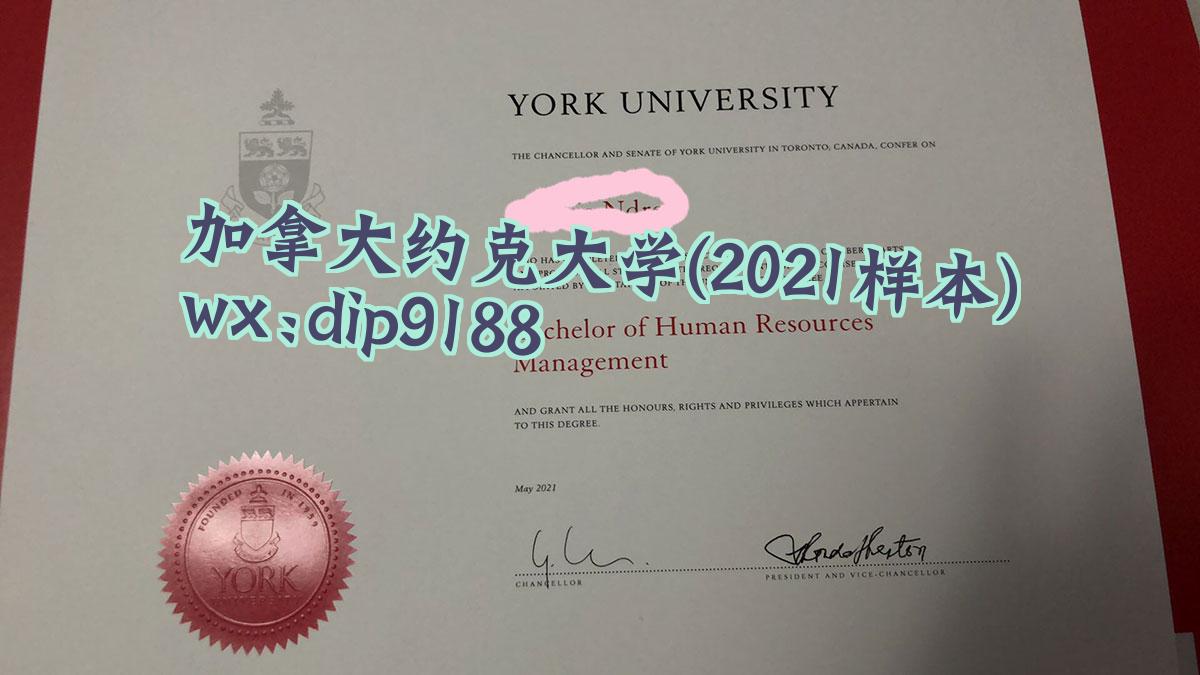 加拿大约克大学学历2021毕业证样本图
