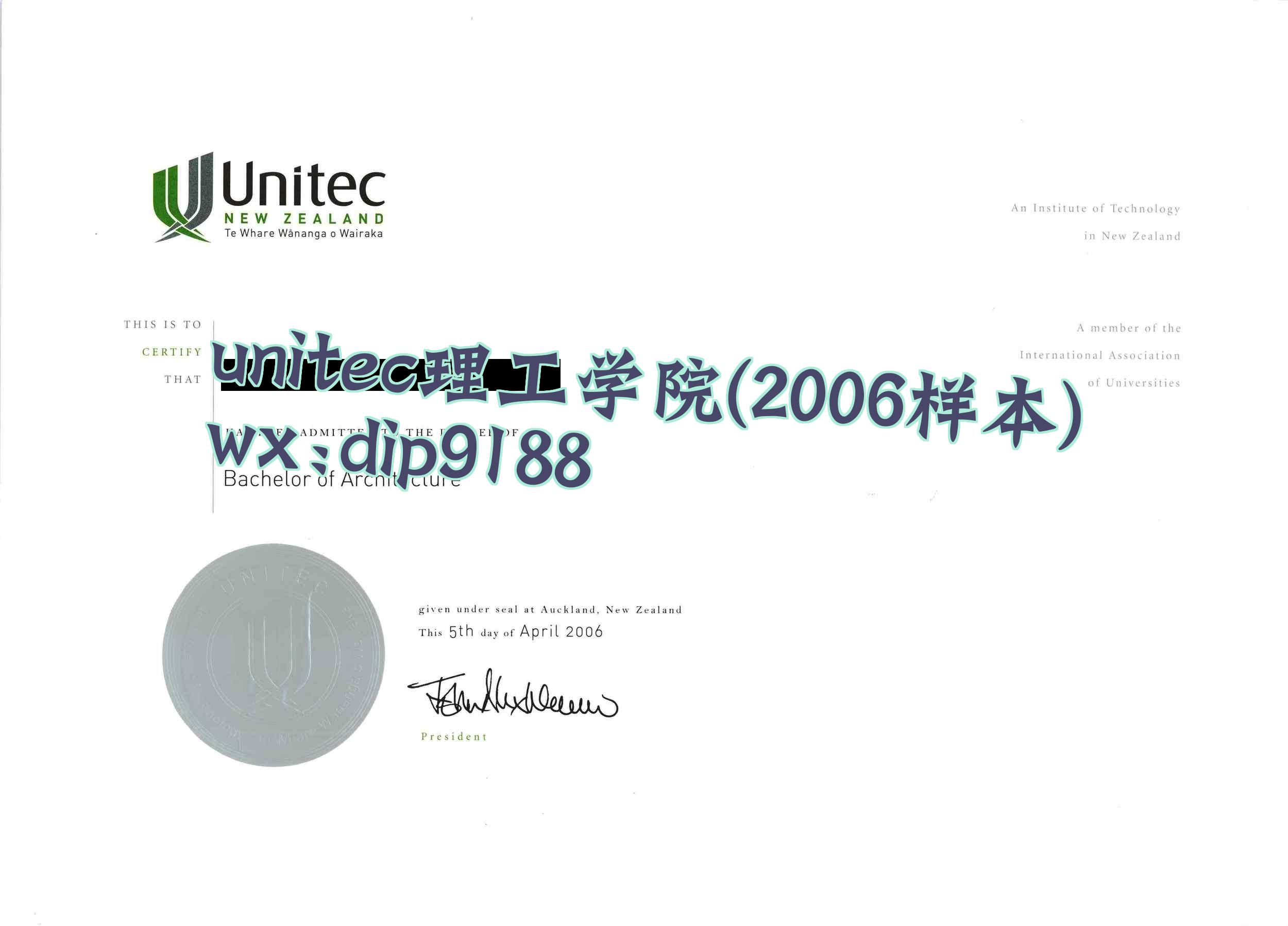 UNITEC理工学院学历2006毕业证样本图