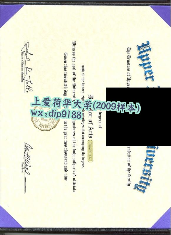 上爱荷华大学学历2009毕业证样本图