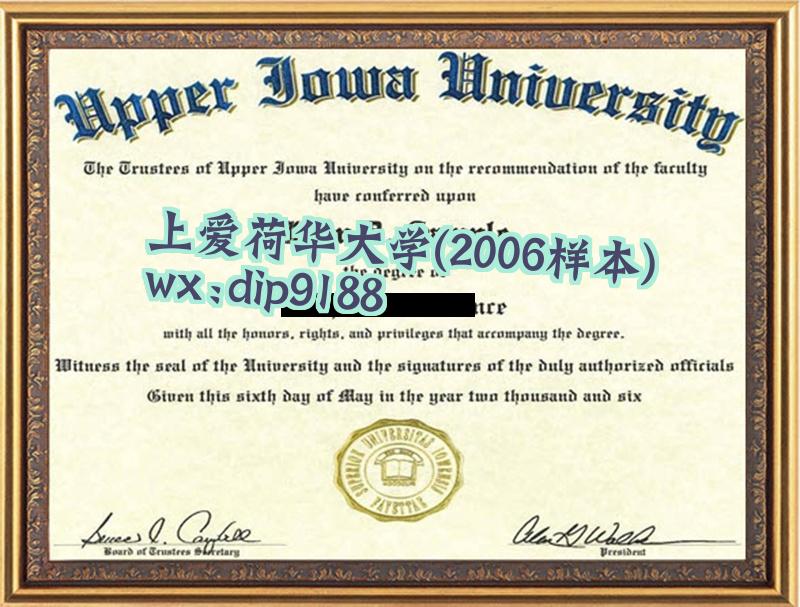 上爱荷华大学学历2006毕业证样本图