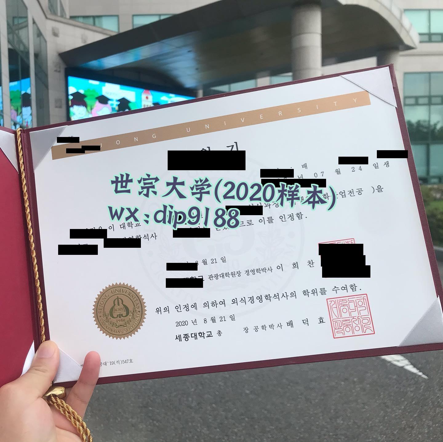 世宗大学学历2020毕业证样本图