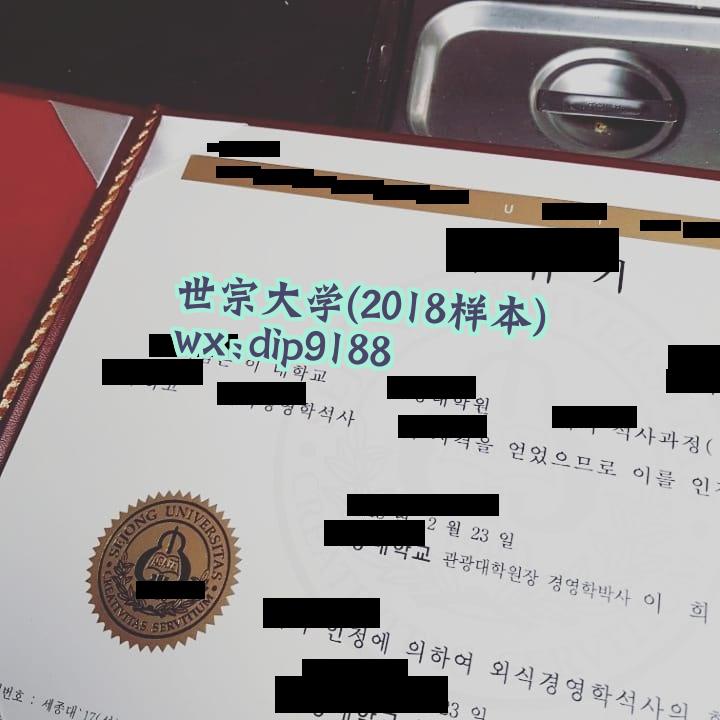 世宗大学学历2018毕业证样本图