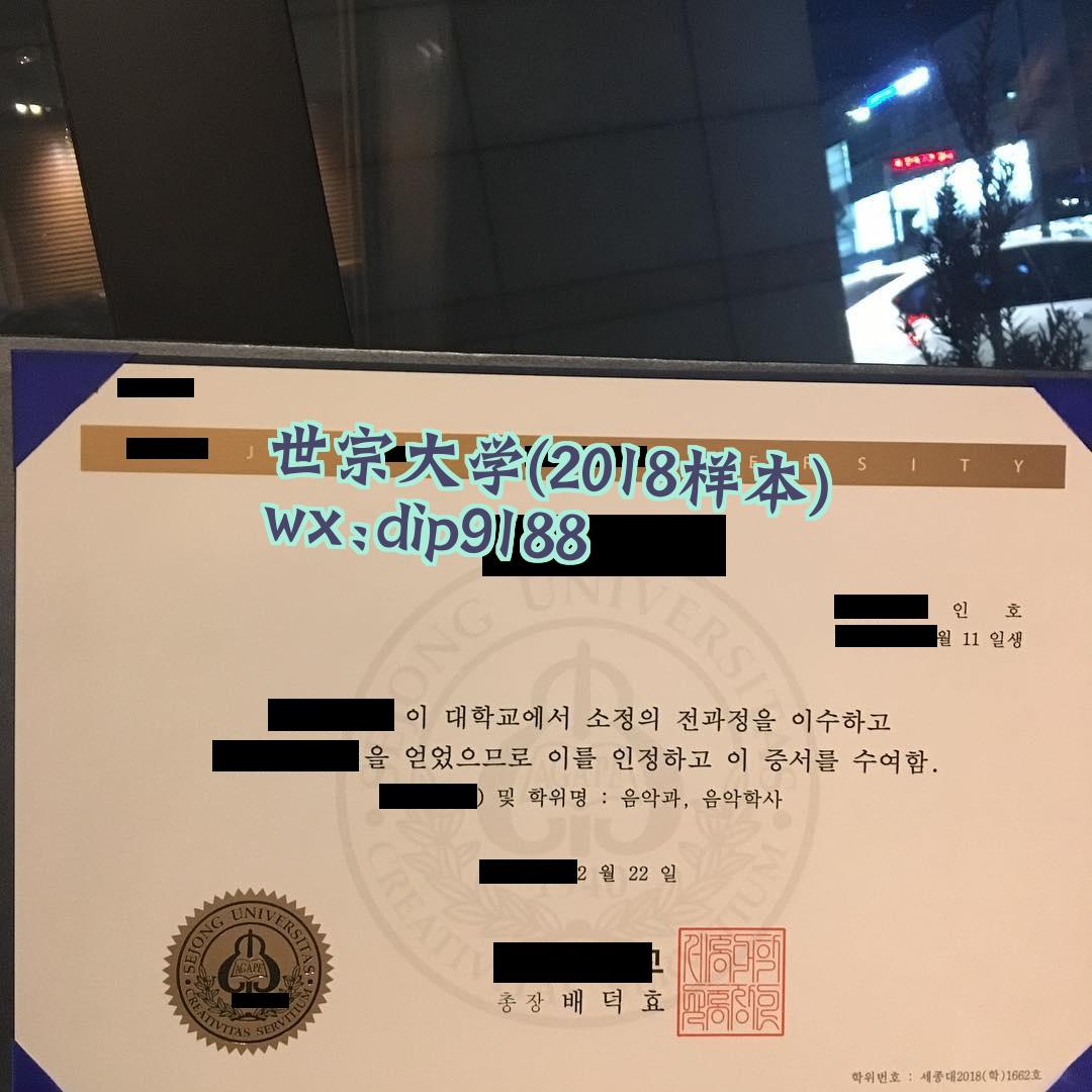 世宗大学学历2018毕业证样本图