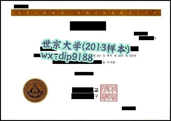 世宗大学学历2013毕业证样本图