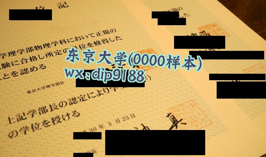东京大学学历0000毕业证样本图