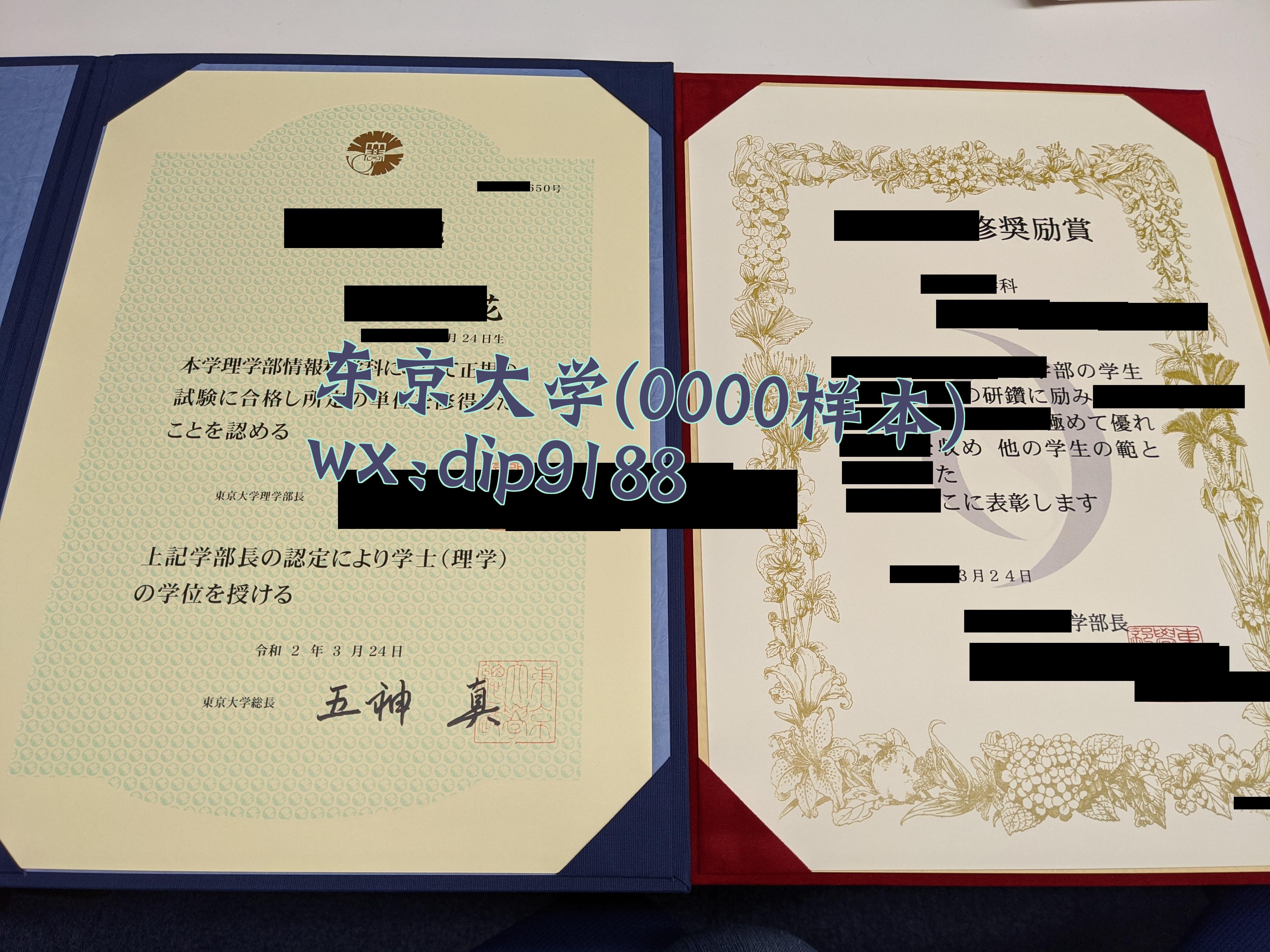 东京大学学历0000毕业证样本图