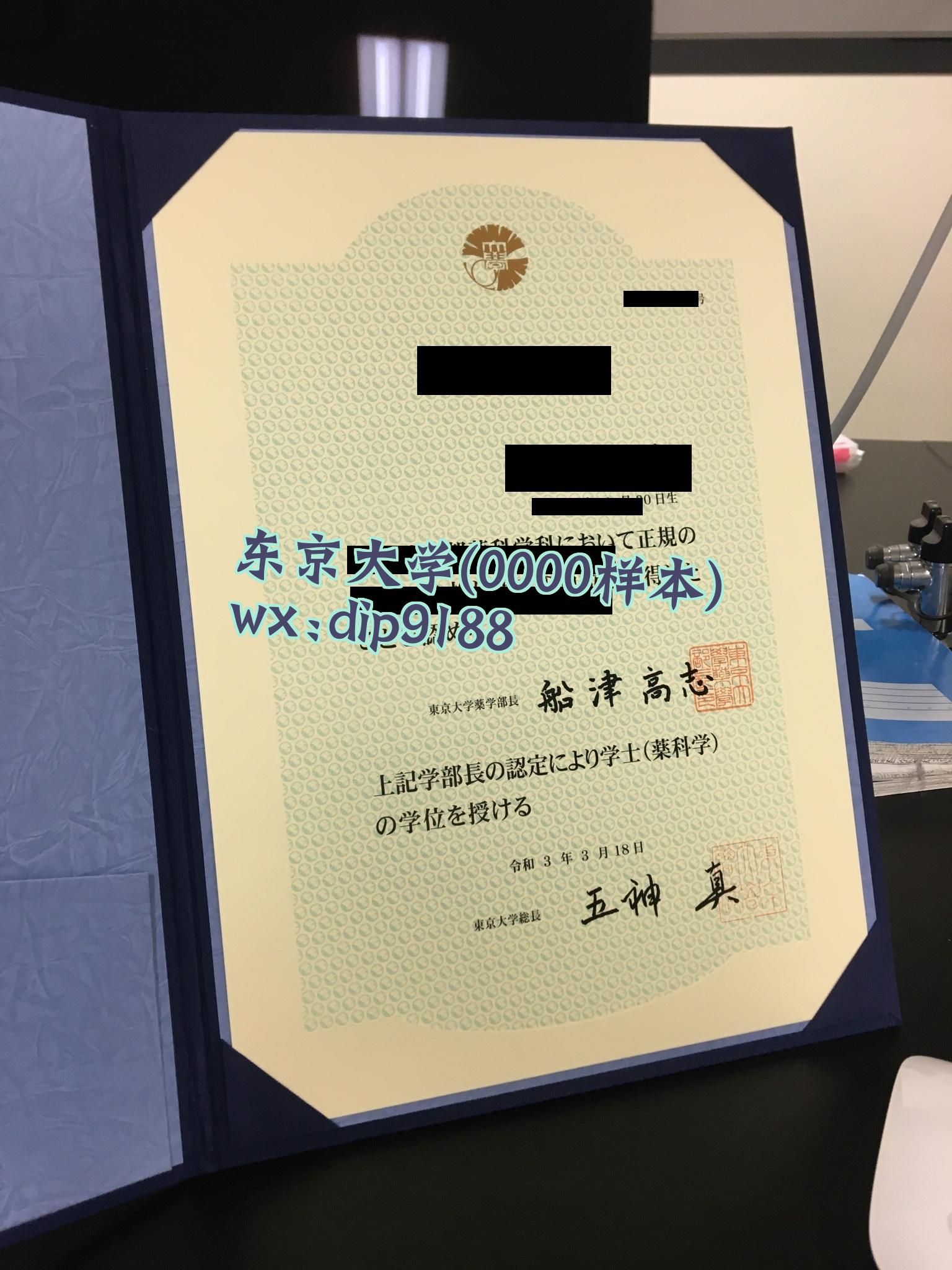 东京大学学历0000毕业证样本图