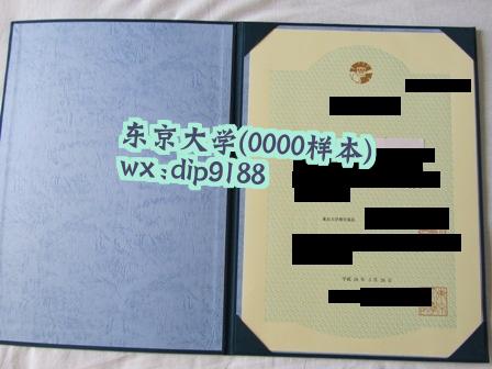 东京大学学历0000毕业证样本图