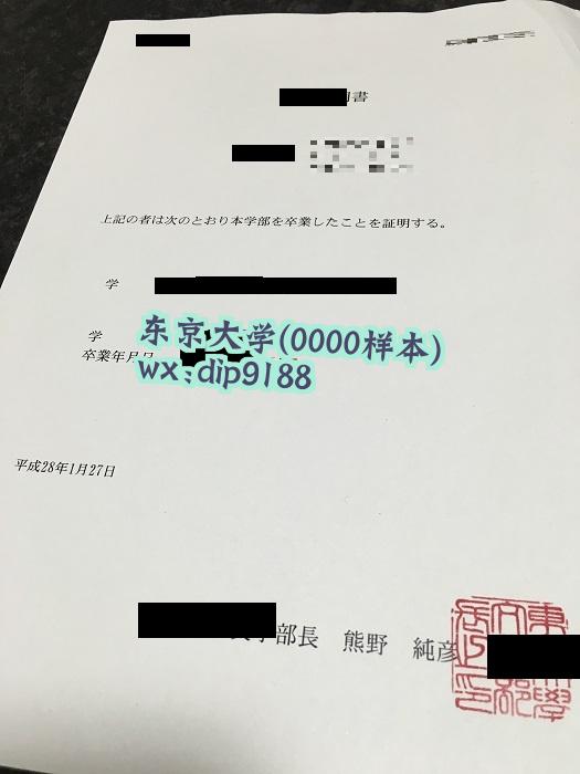 东京大学学历0000毕业证样本图