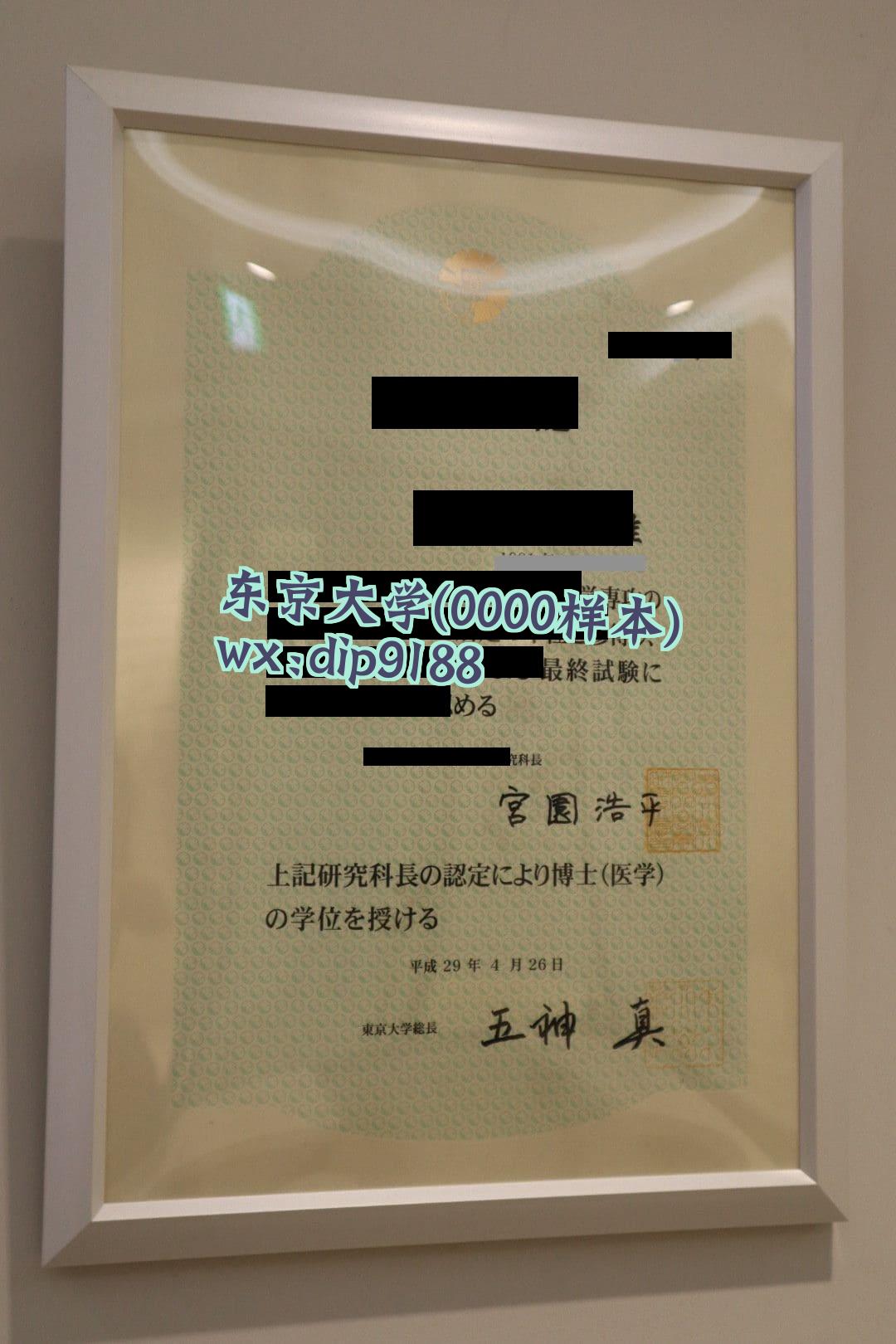 东京大学学历0000毕业证样本图