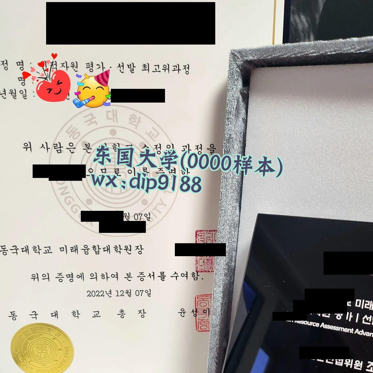 东国大学学历0000毕业证样本图