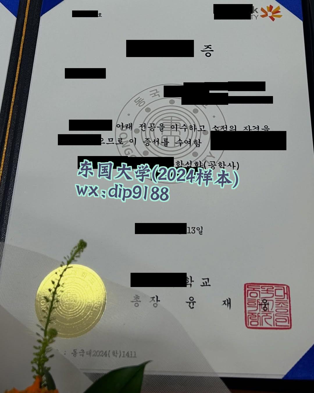 东国大学学历2024毕业证样本图