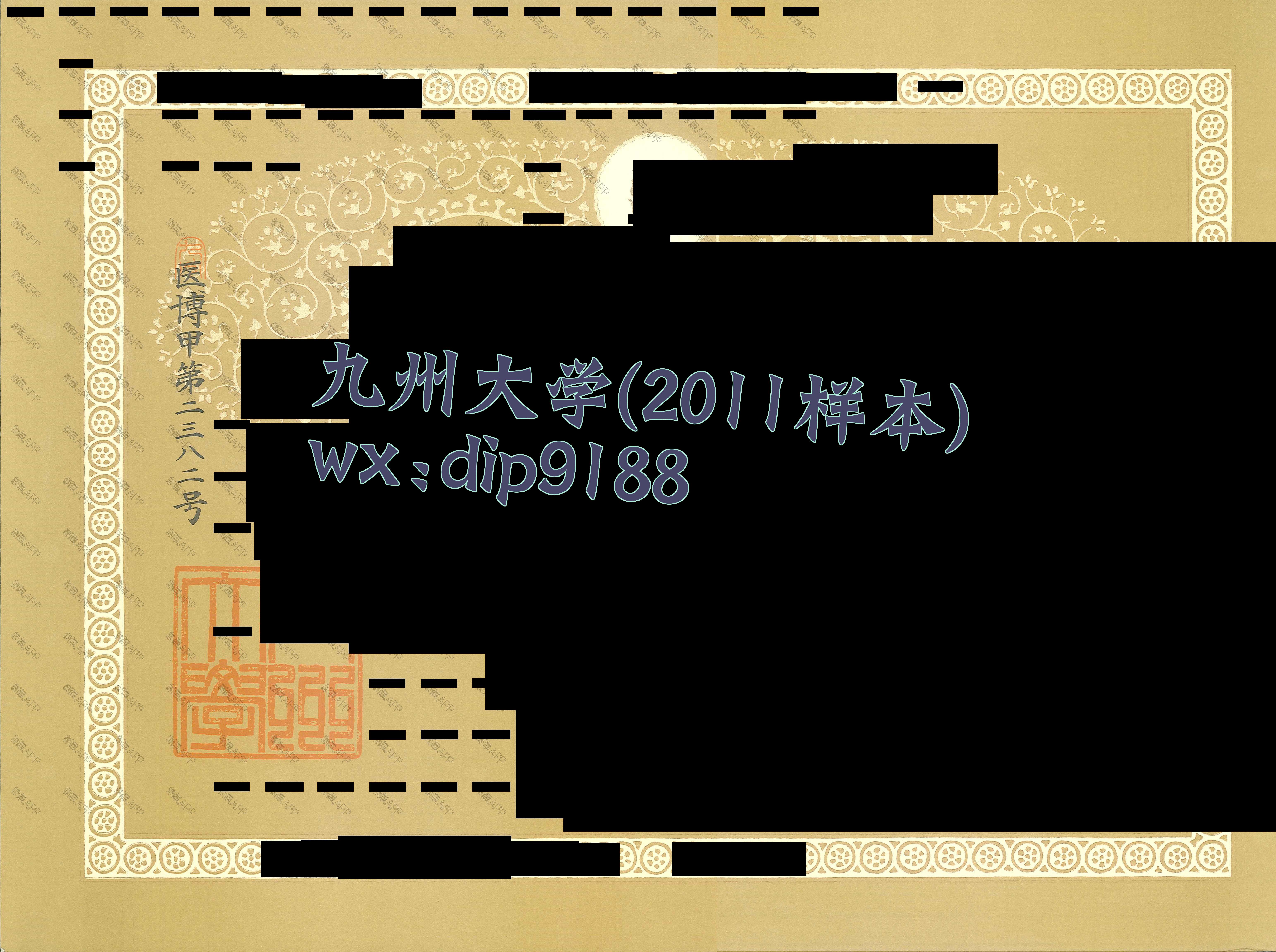 九州大学学历2011毕业证样本图
