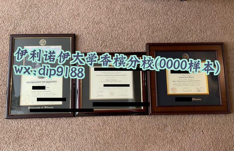 伊利诺伊大学香槟分校学历0000毕业证样本图
