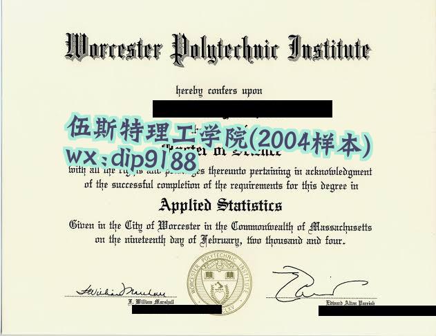 伍斯特理工学院学历2004毕业证样本图
