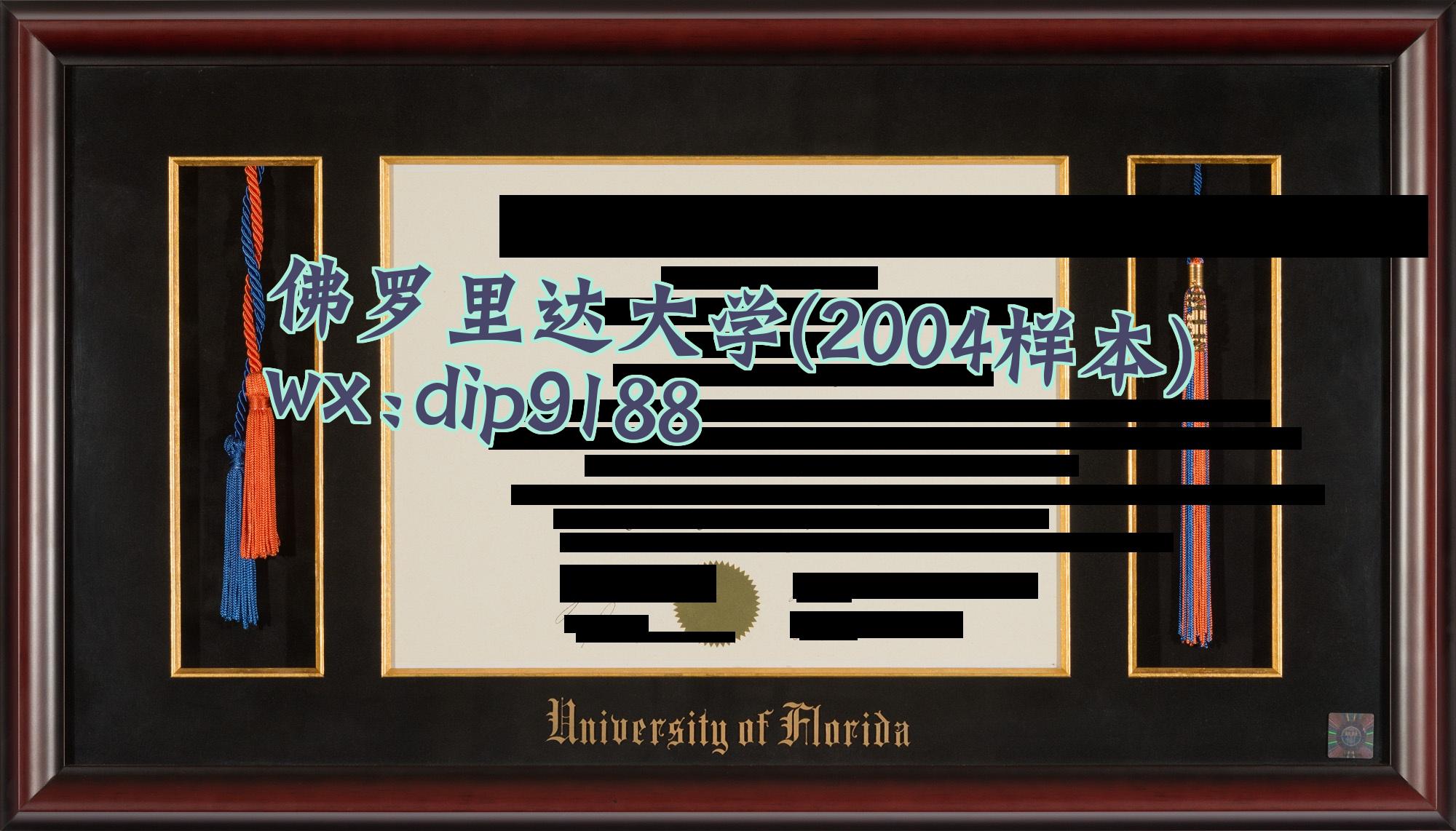 佛罗里达大学学历2004毕业证样本图