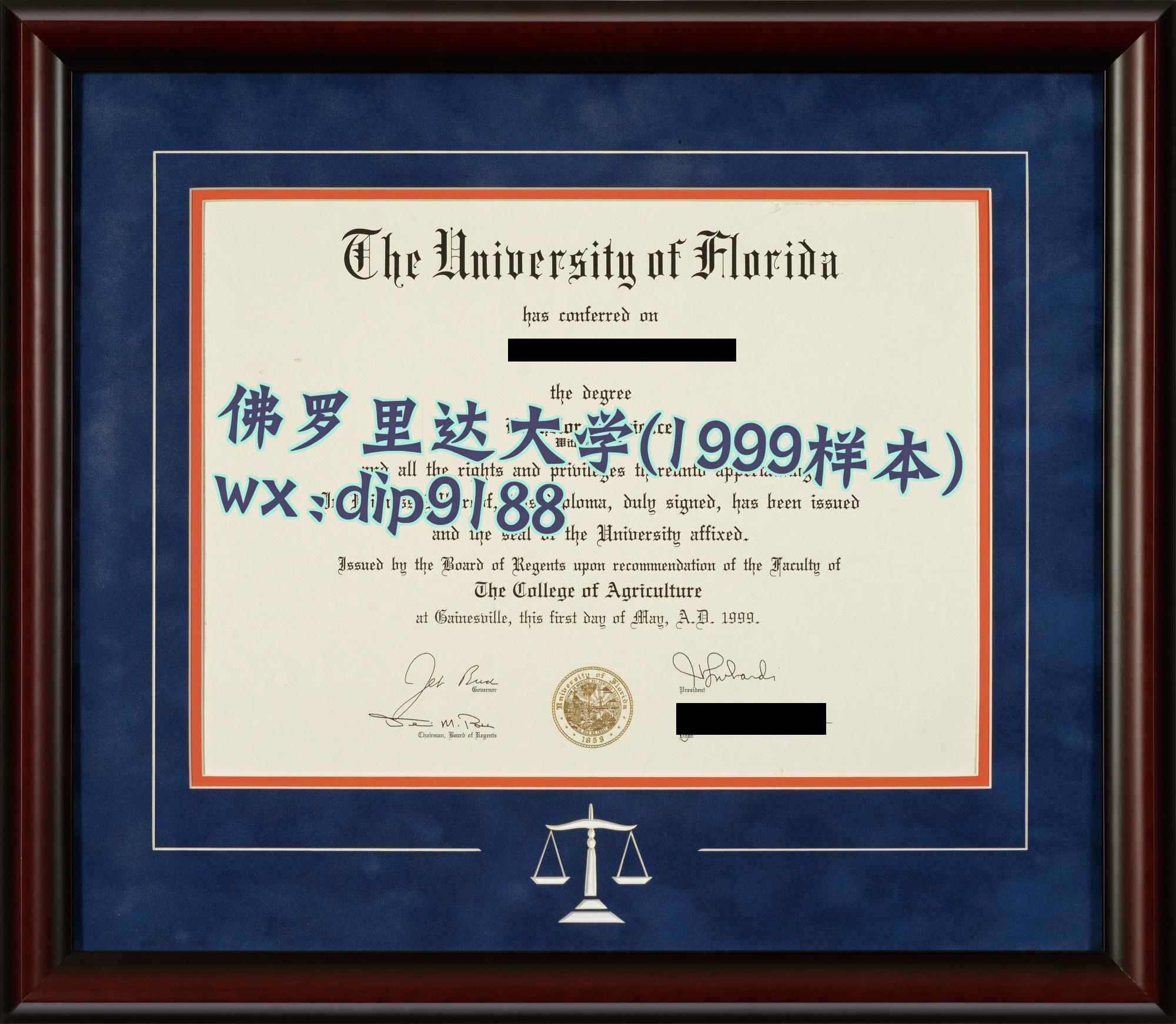 佛罗里达大学学历1999毕业证样本图