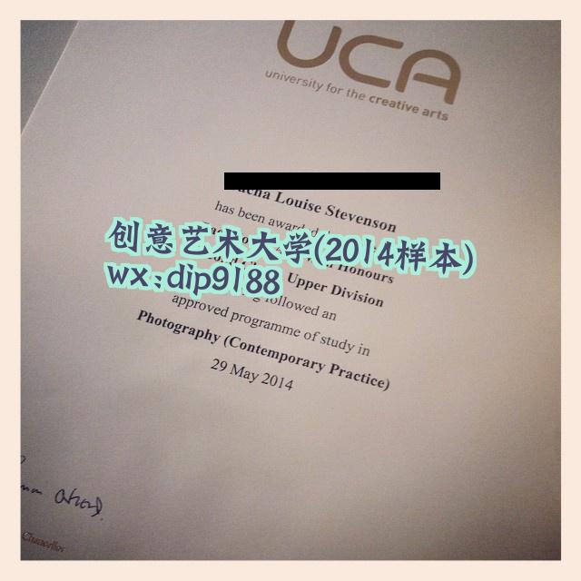 创意艺术大学学历2014毕业证样本图