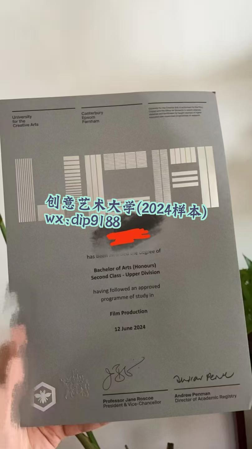 创意艺术大学学历2024毕业证样本图