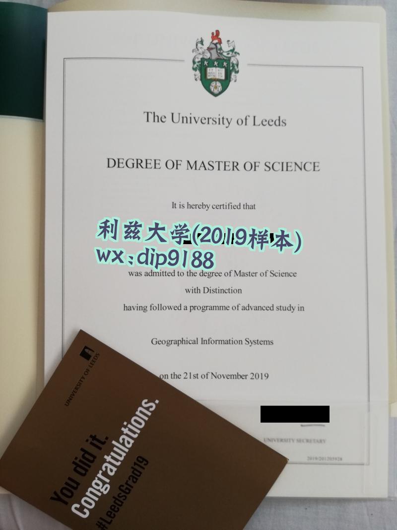 利兹大学学历2019毕业证样本图