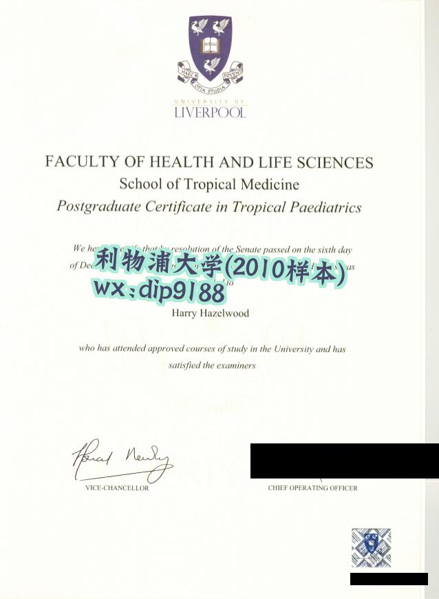 利物浦大学学历2010毕业证样本图