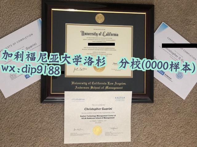 加利福尼亚大学洛杉矶分校学历0000毕业证样本图