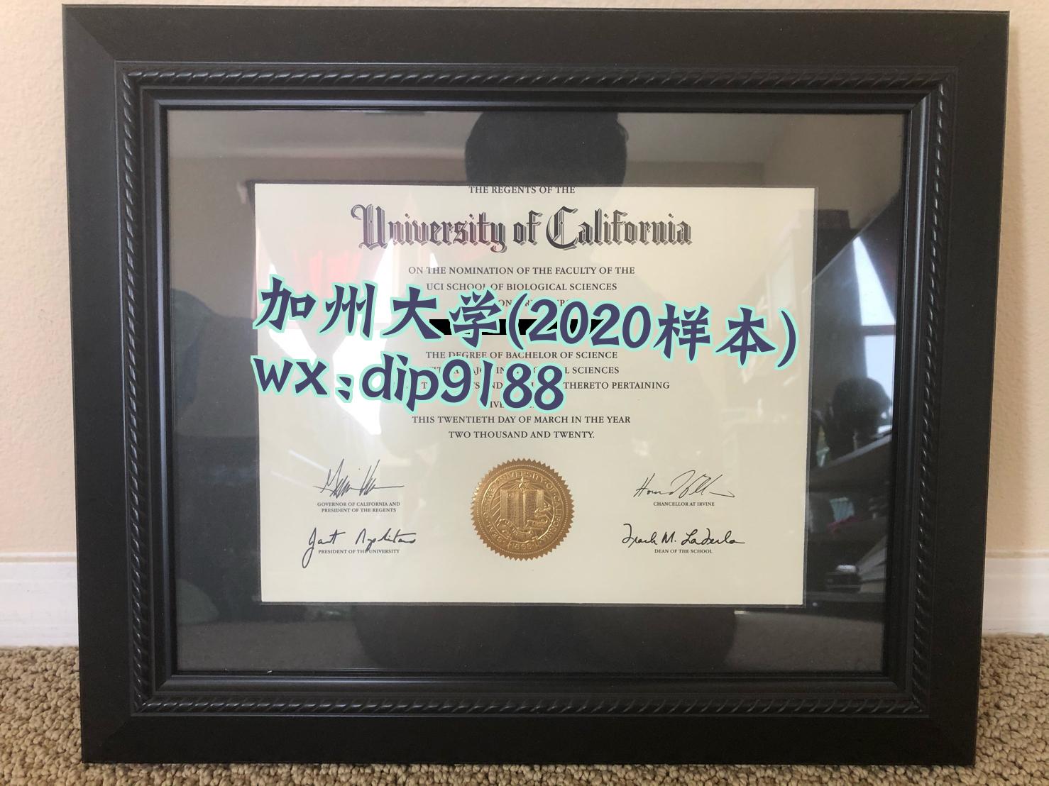加州大学学历2020毕业证样本图