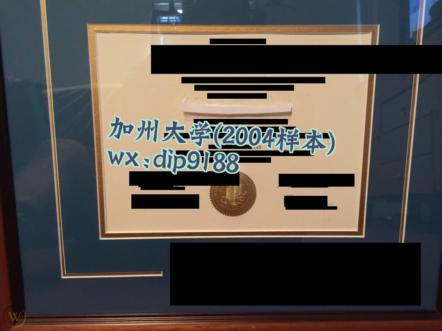 加州大学学历2004毕业证样本图