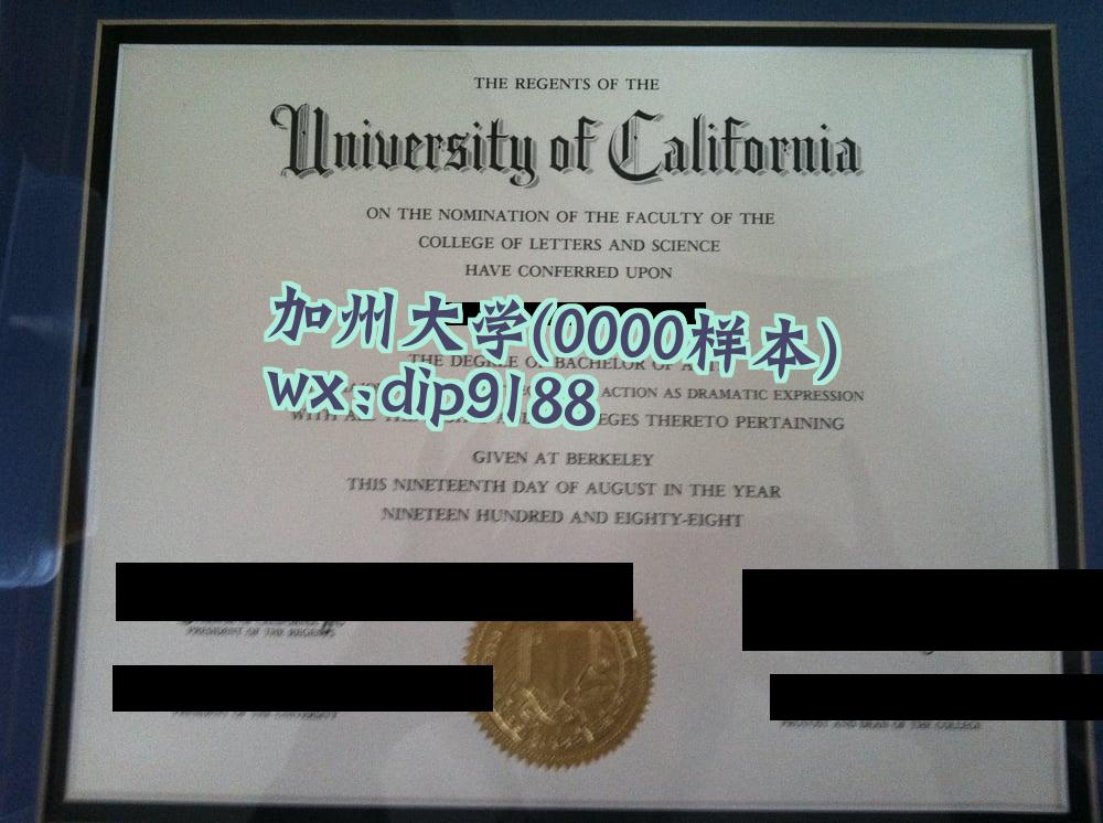 加州大学学历0000毕业证样本图