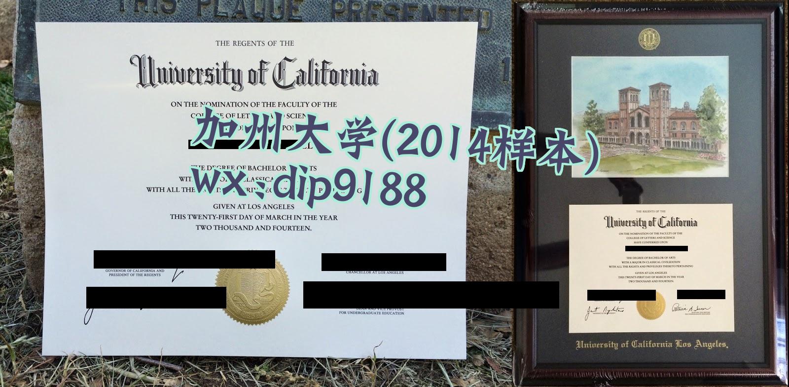 加州大学学历2014毕业证样本图